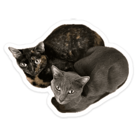 Pookie and Spooky
